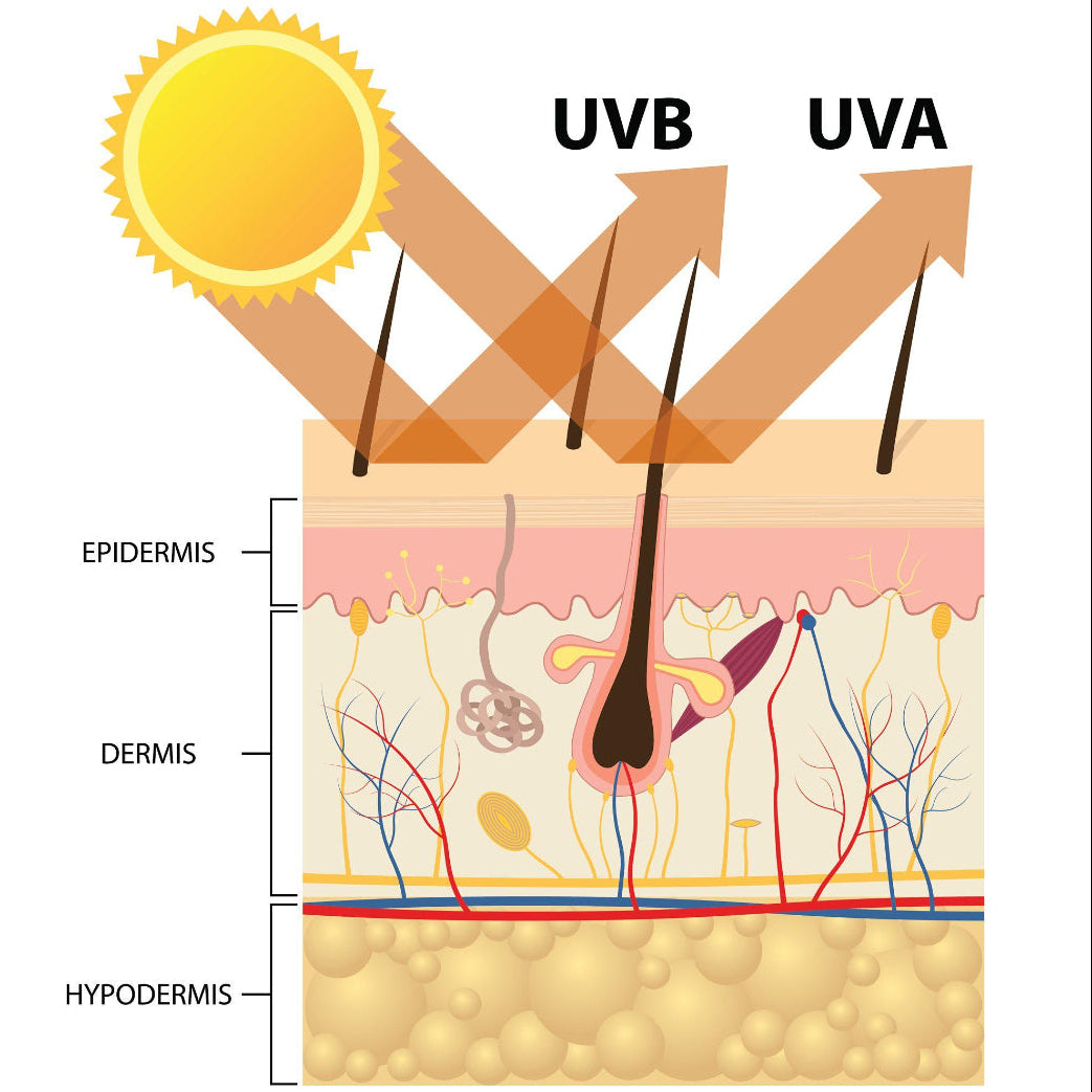 Collagen Enriched Sunscreen with SPF Protection